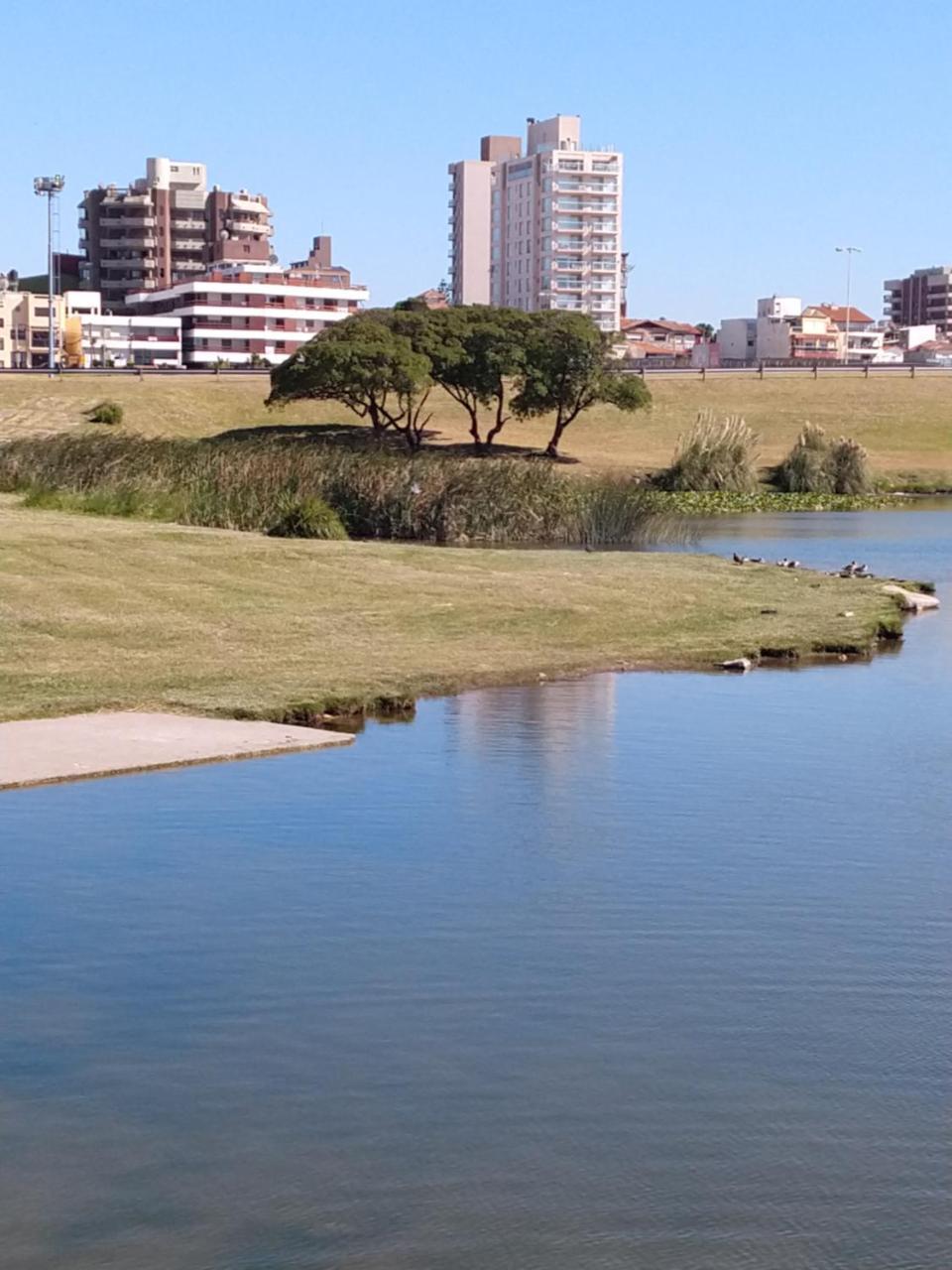 Edificio Juana Del Mar Apartment Mar del Plata Bagian luar foto